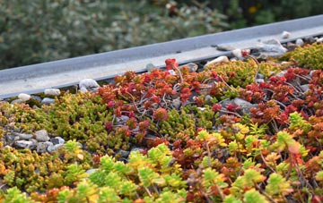 the cost of Dangerous Corner green roof installation
